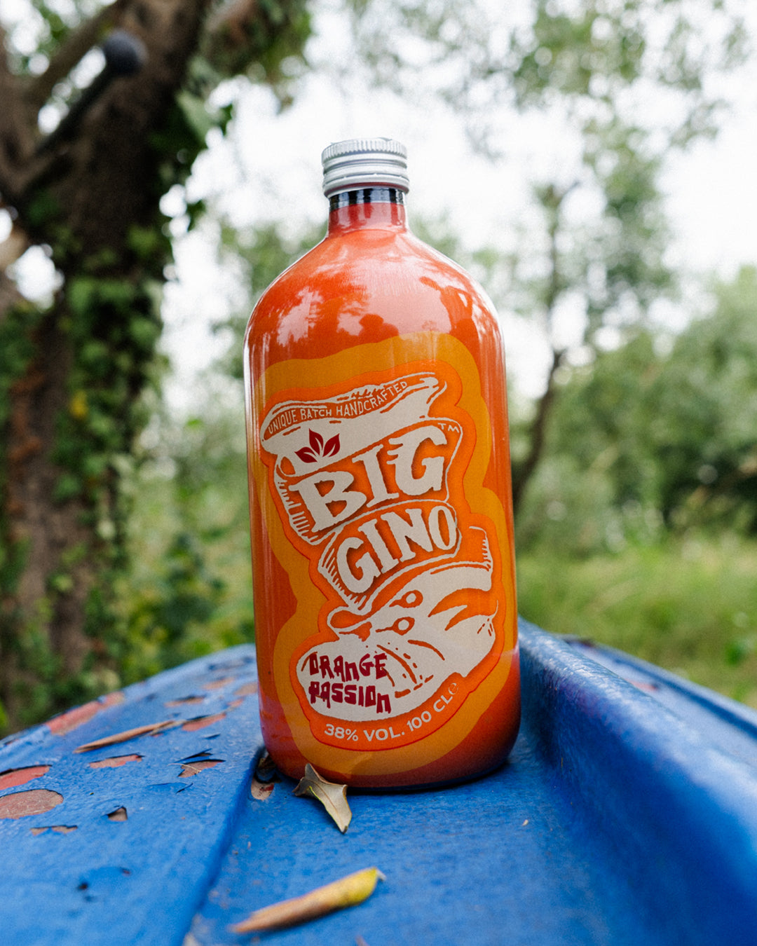 Big Gino Orange Passion 1L, gin artigianale alle arance di Sicilia, bottiglia in primo piano