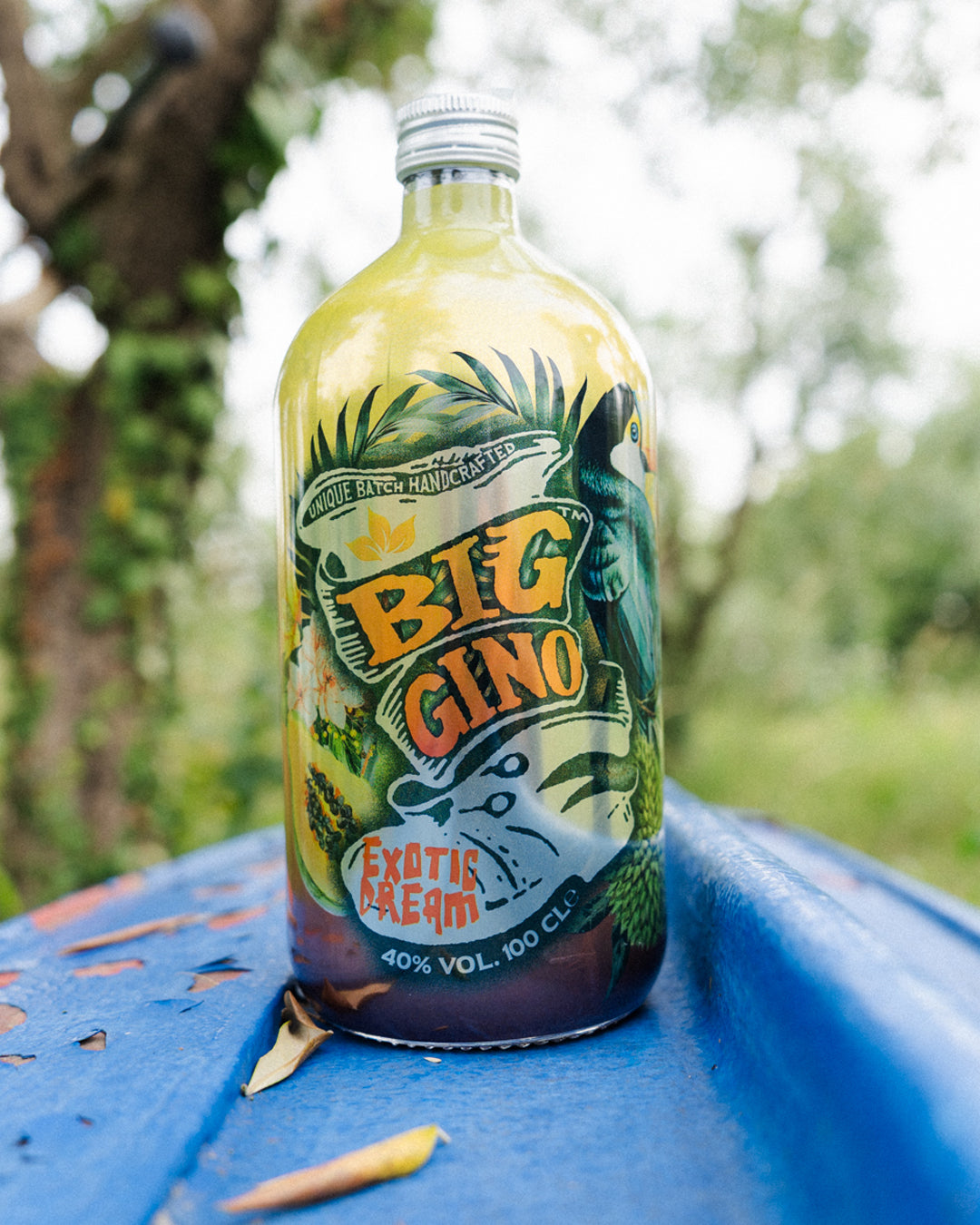 Big Gino Exotic Dream 1L, gin artigianale ai frutti tropicali, bottiglia in primo piano