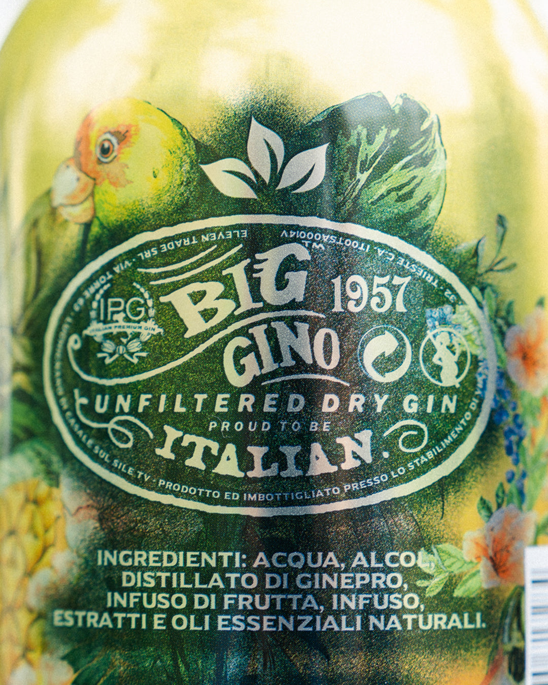 Big Gino Exotic Dream 1L, gin artigianale ai frutti tropicali, servito nel bicchiere