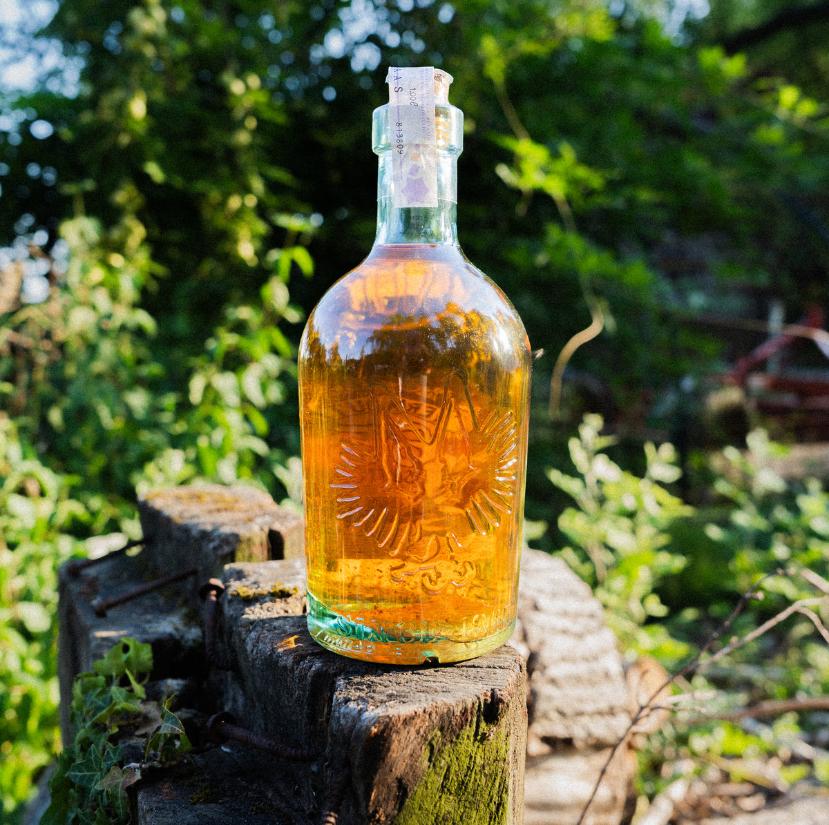 Vermouth Esotico RobyMarton, infusione artigianale, dettaglio dell'etichetta