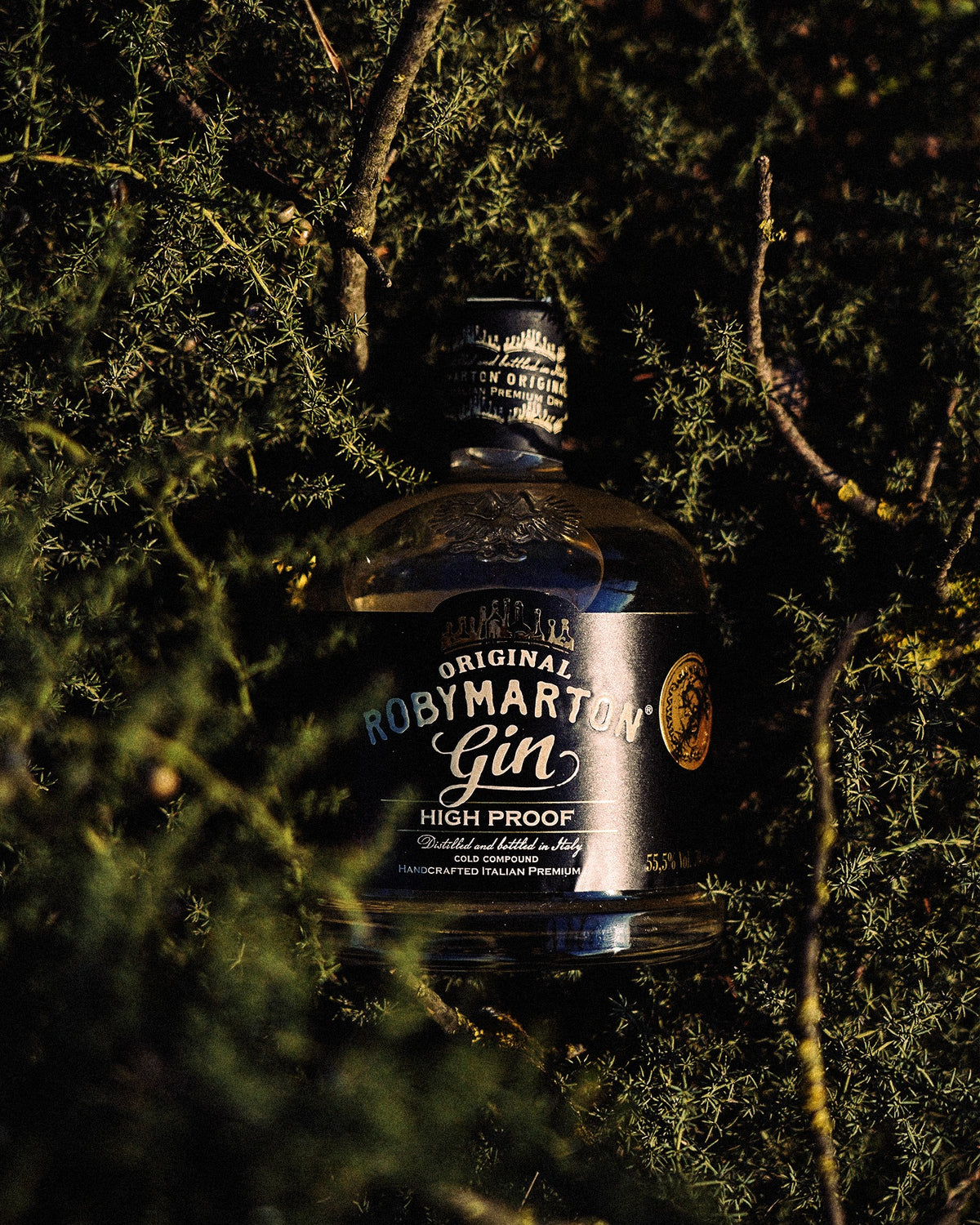 RobyMarton Gin High Proof 55,5% vol, gin artigianale ad alta gradazione, bottiglia in primo piano