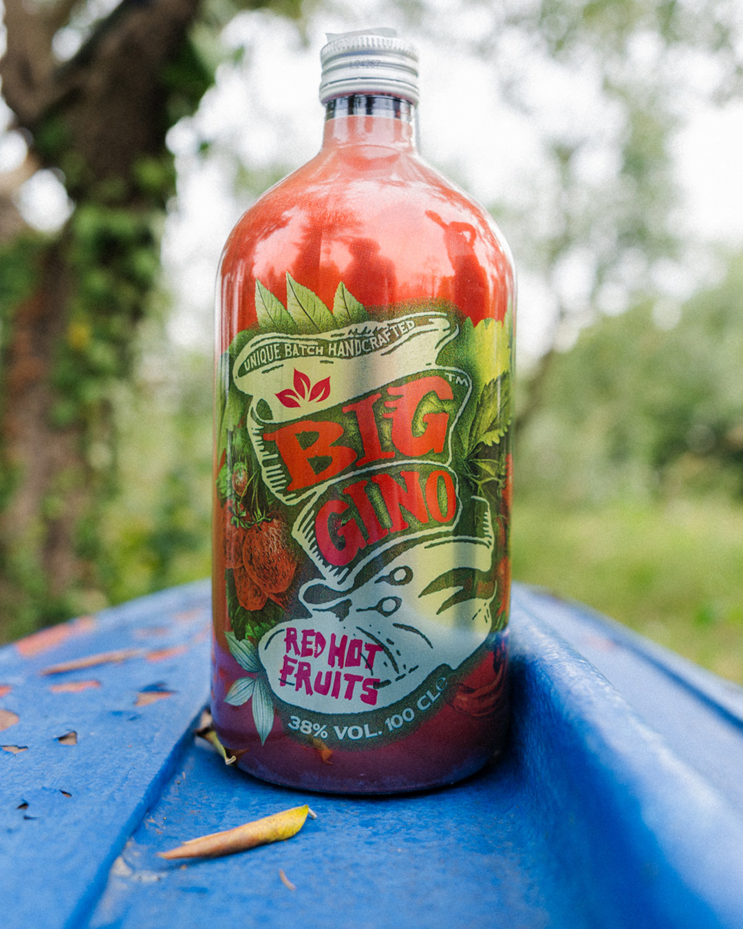 Big Gino Red Hot Fruits 1L, gin artigianale alla fragola e peperoncino, bottiglia in primo piano