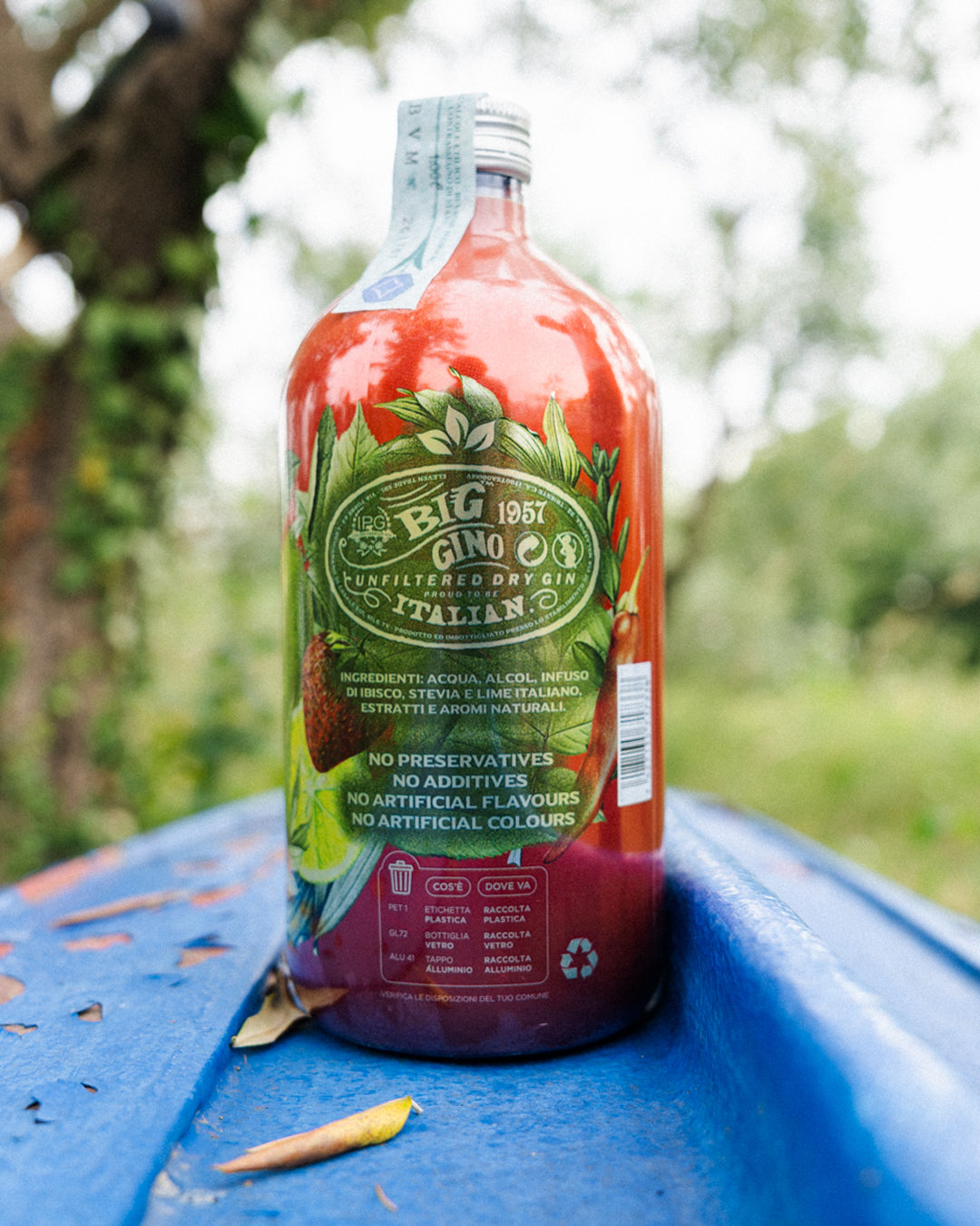 Big Gino Red Hot Fruits 1L, gin artigianale alla fragola e peperoncino, in ambientazione lifestyle