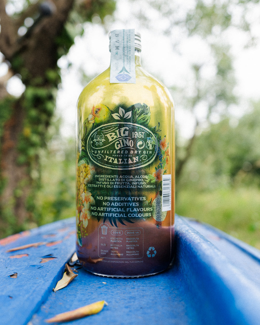 Big Gino Exotic Dream 1L, gin artigianale ai frutti tropicali, in ambientazione lifestyle
