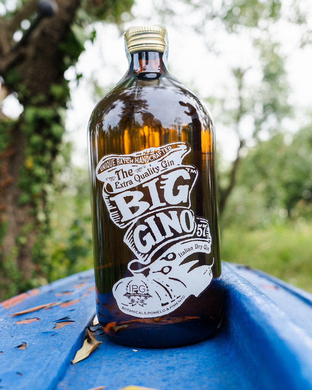 Big Gino, gin artigianale italiano cold compound, bottiglia in primo piano