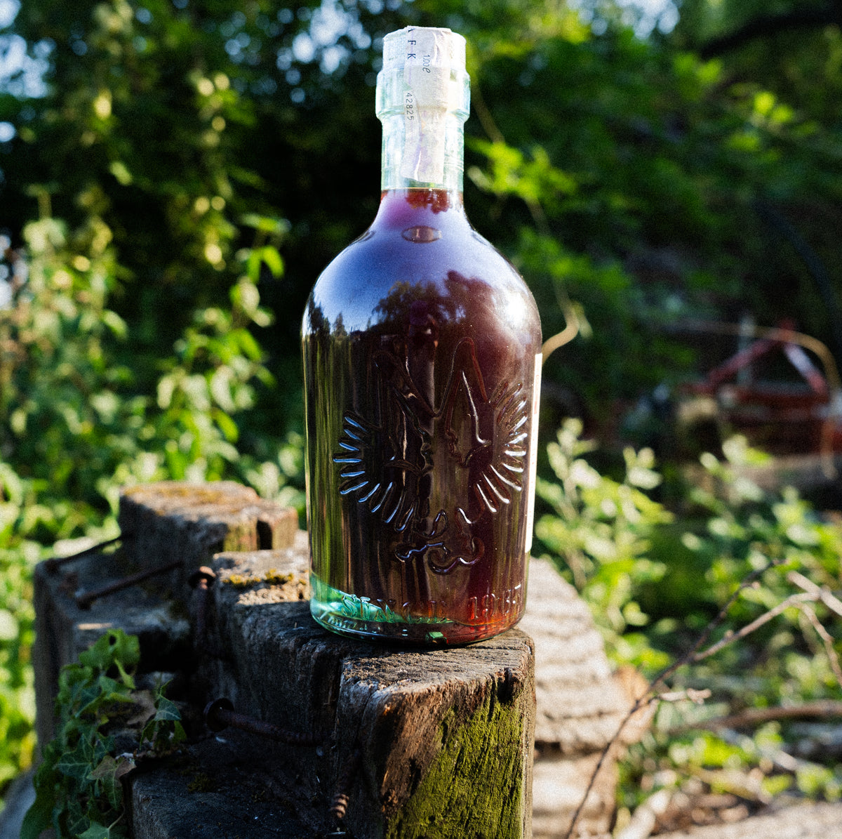 Vermuth 65 Rabioso, vermouth rosso artigianale italiano, dettaglio dell'etichetta